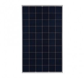 PIN 60CELL POLY TIÊU CHUẨN